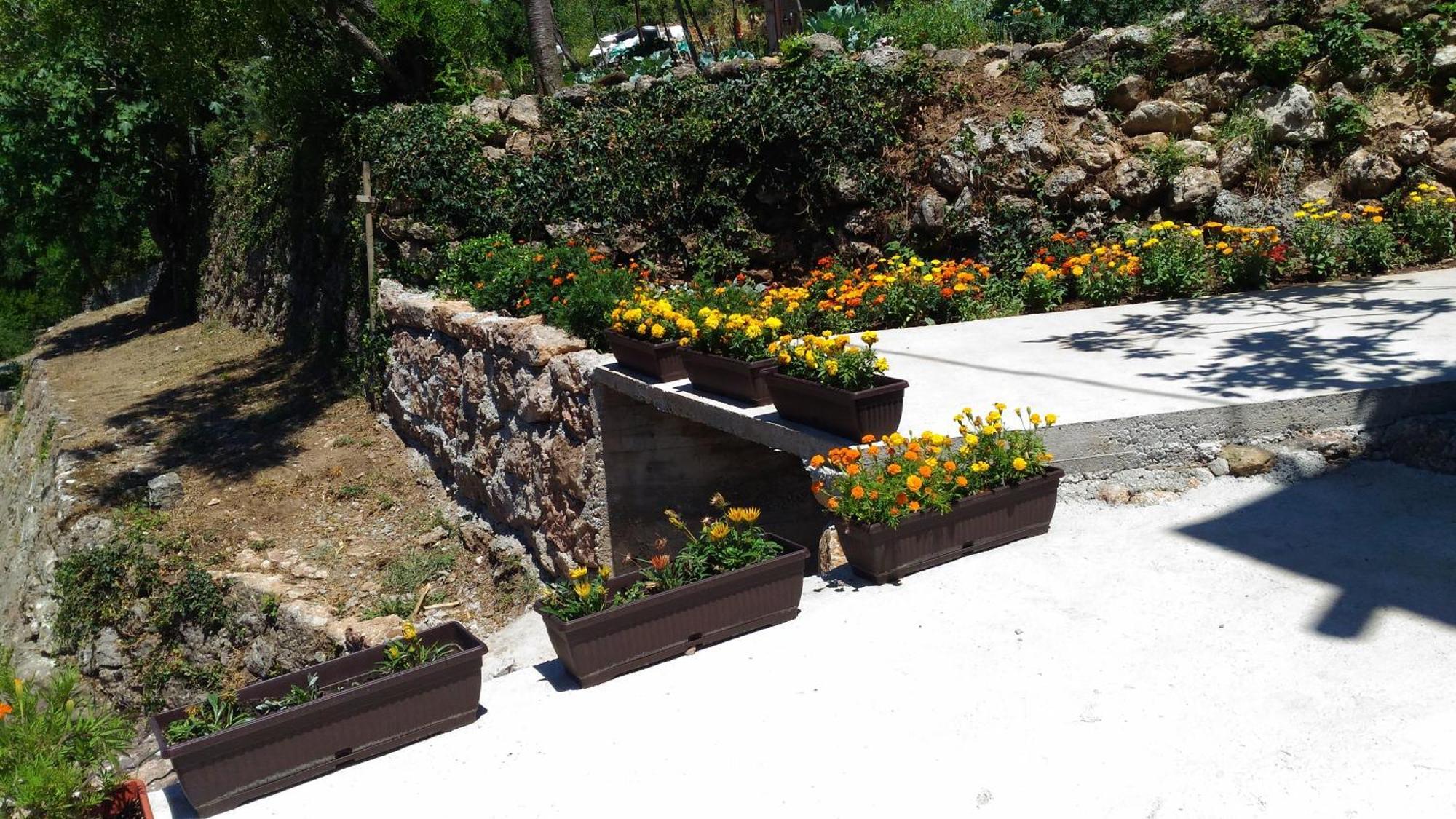 Apartment Mond Virpazar Oda fotoğraf