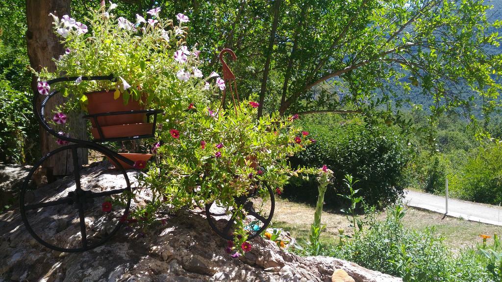 Apartment Mond Virpazar Dış mekan fotoğraf
